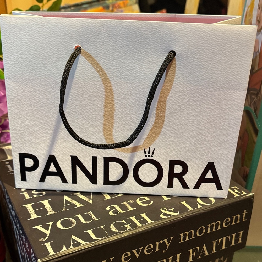 Pandora Medium Bag Empty